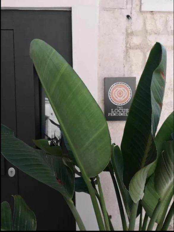 Locus Pendinelli Trani Bed & Breakfast ภายนอก รูปภาพ